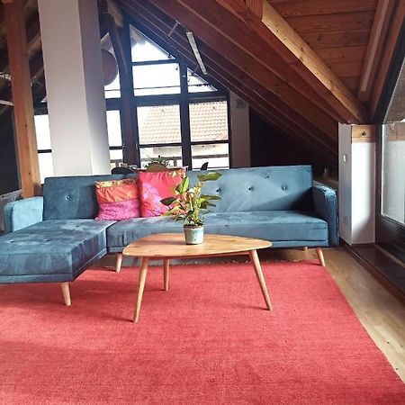 Ferienwohnung Zur Kirschblute 푸르바흐암네우시에들러시 외부 사진