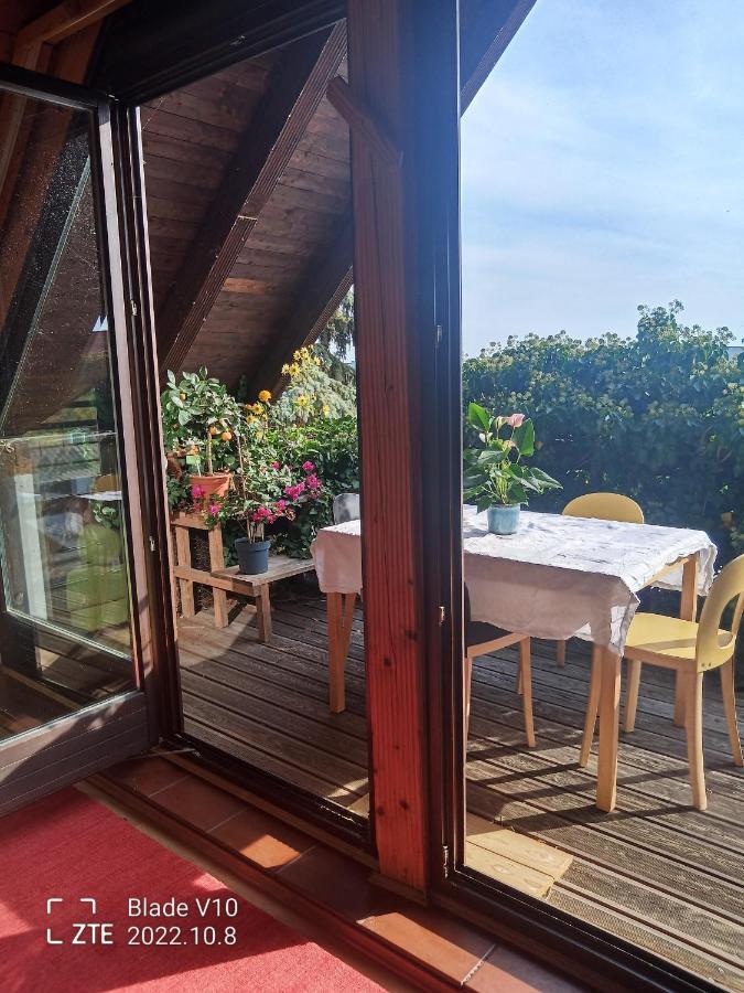 Ferienwohnung Zur Kirschblute 푸르바흐암네우시에들러시 외부 사진